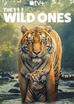 The Wild Ones Season 1 Episode 1